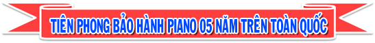Bảng giá ĐÀN PIANO mới nhất từ Nhật Bản