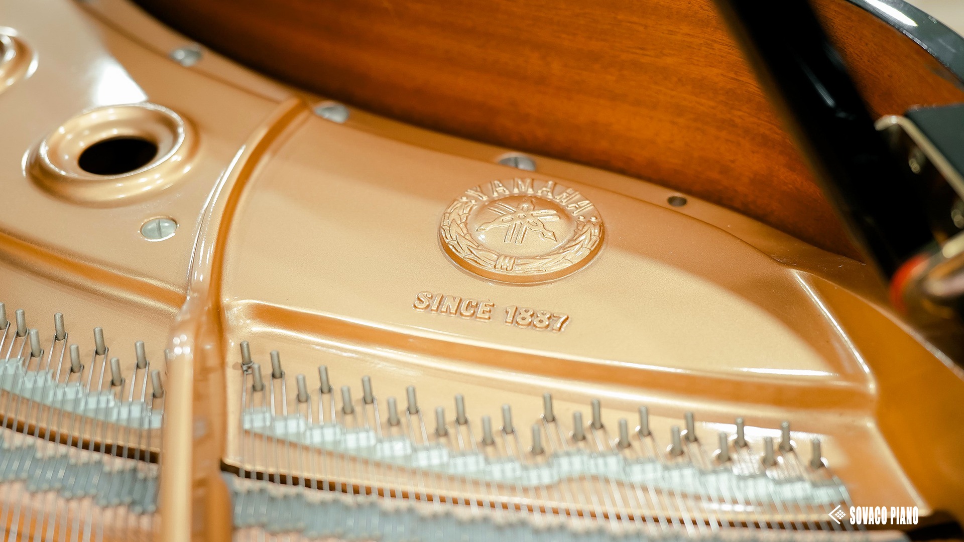 Piano trong không gian sống