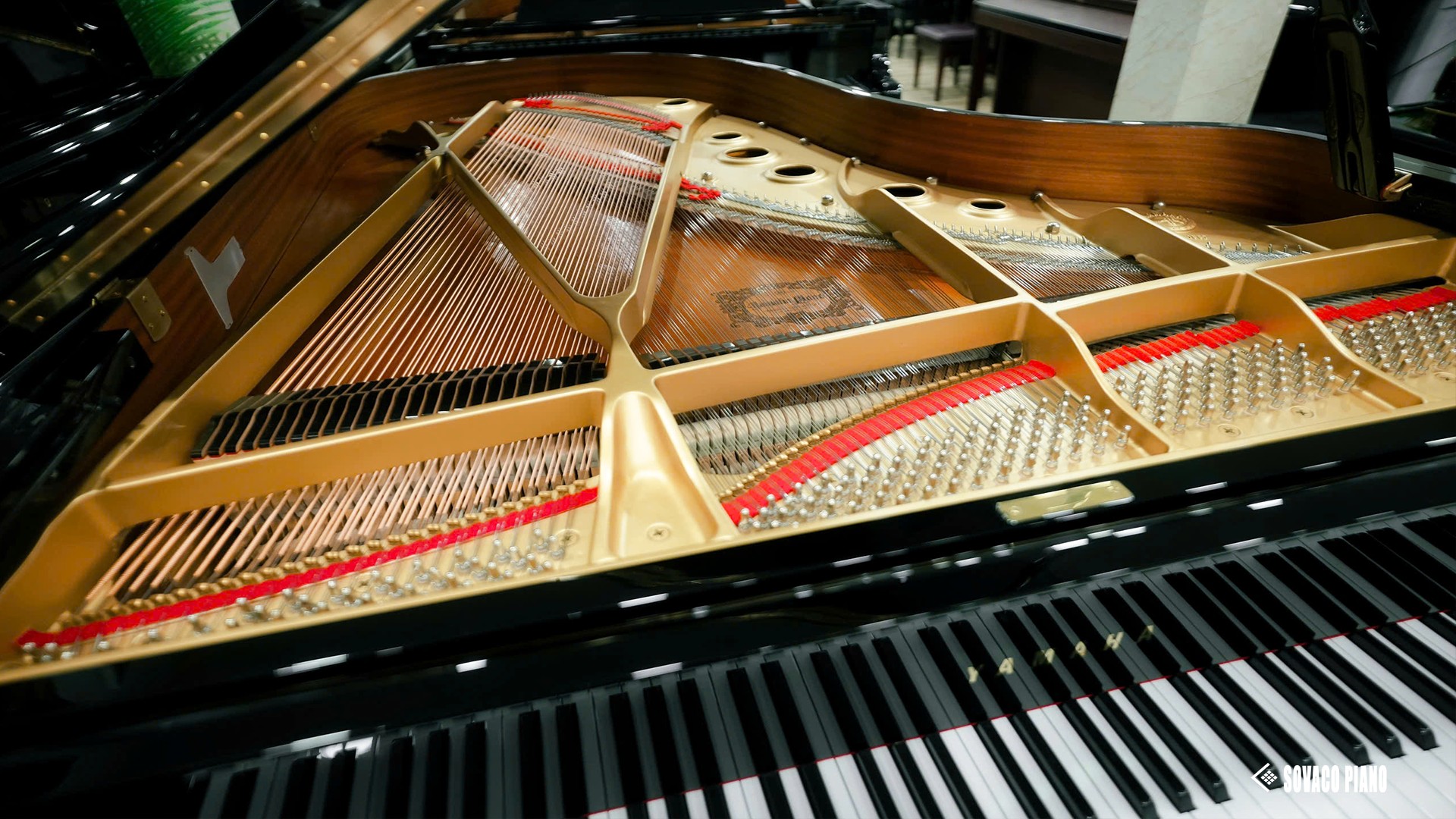 Piano trong không gian sống