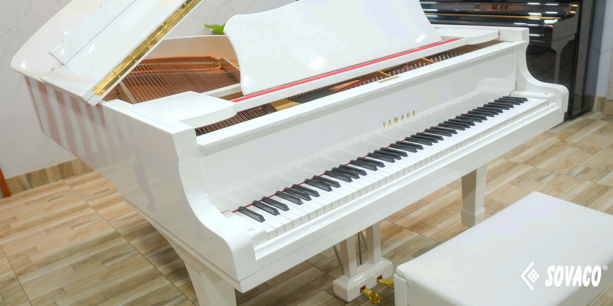 Piano trong không gian sống