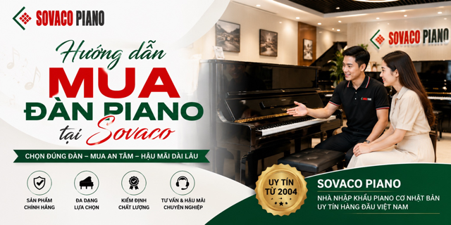 Hướng dẫn mua Đàn Piano tại Sovaco
