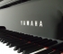 YAMAHA Piano - Thương hiệu Piano lừng danh của người Nhật