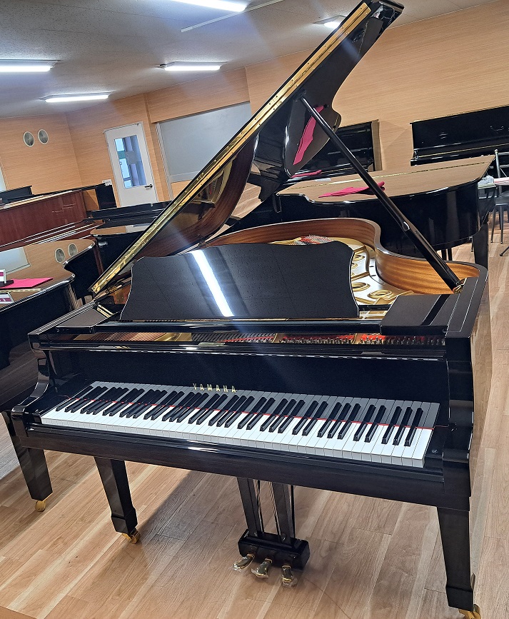 Địa chỉ uy tín chuyên bán đàn piano cơ chất lượng cao
