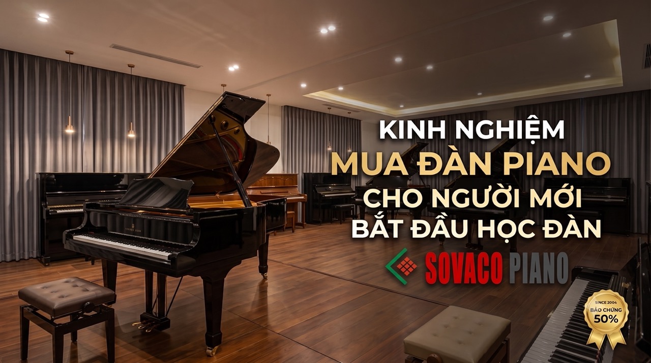 KINH NGHIỆM MUA ĐÀN PIANO CHO NGƯỜI MỚI BẮT ĐẦU HỌC ĐÀN