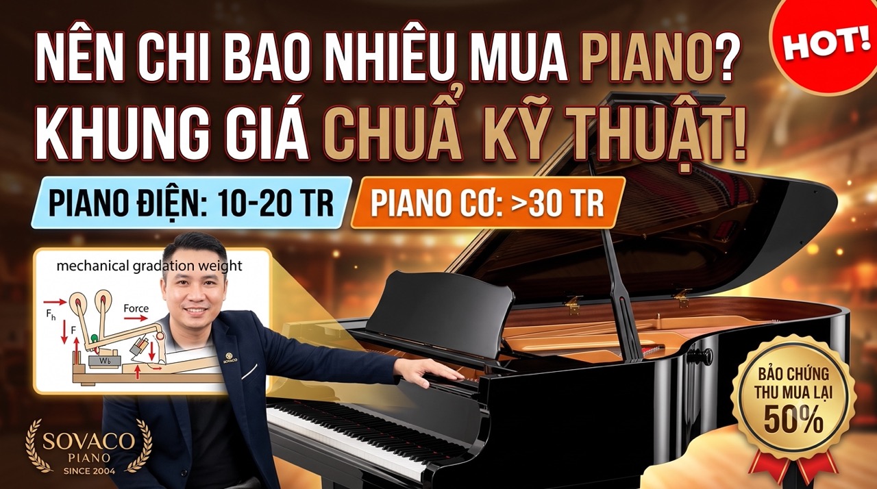 Nên Chi Bao Nhiêu Tiền Mua Đàn Piano?