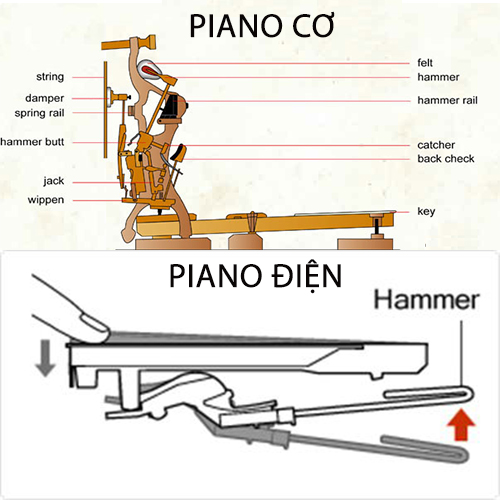 Đặc điểm kỹ thuật của đàn piano cơ và piano điện