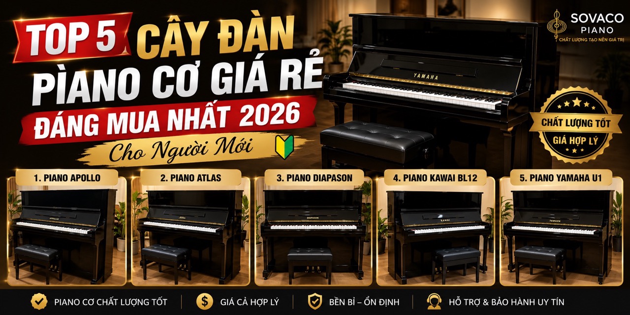 TOP 5 CÂY ĐÀN PIANO CƠ GIÁ RẺ ĐÁNG MUA NHẤT CHO NGƯỜI MỚI