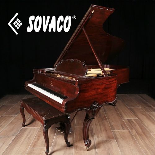 1929 Steinway & Sons Louis XV B