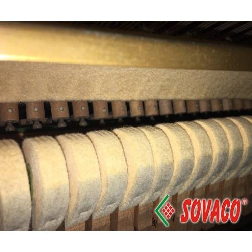 Đàn Piano Giá Rẻ