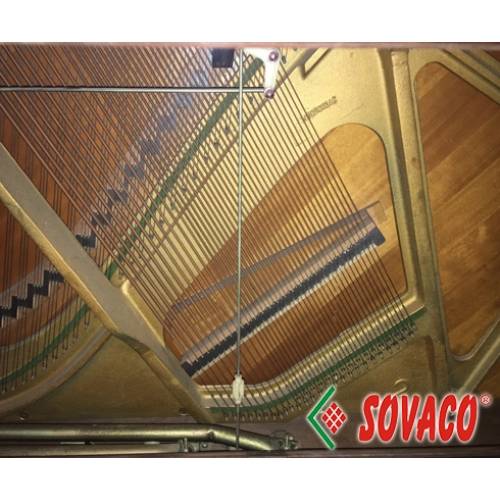 Đàn Piano Giá Rẻ