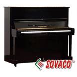 Piano Ballindamm B-123