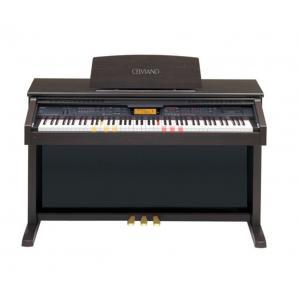 Đàn Piano điện Casio AL-100R