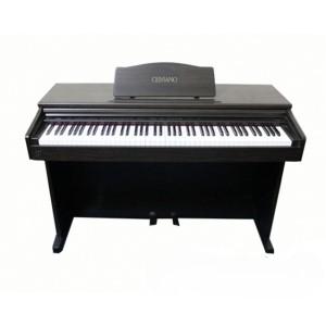 Đàn Piano Điện CASIO AP15