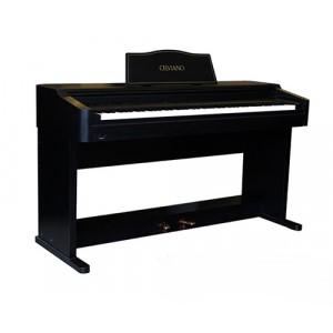 Đàn Piano Điện Casio AP-30