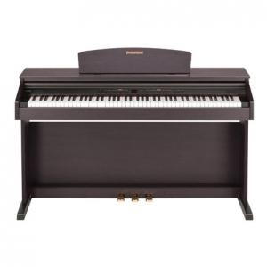 Đàn Piano Điện Dynatone DPR-1650