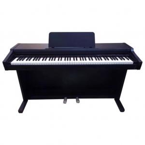 Đàn Piano điện Kawai PN-35