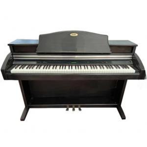 Đàn Piano Điện Kawai PW1000