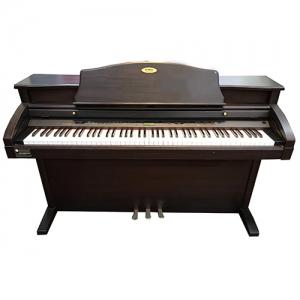 Đàn Piano điện Kawai PW-1200