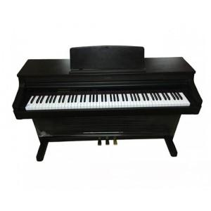 Đàn Piano Điện Kawai PW-600