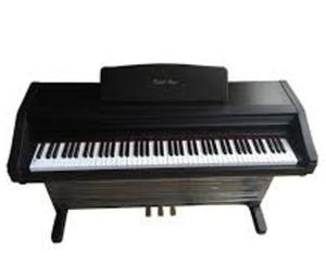 Đàn Piano Điện Kawai PW-800