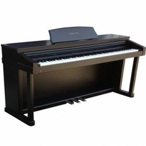 Đàn Piano điện Kawai PW-920