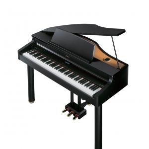 Đàn Piano Điện Roland RG-1F