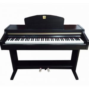 Đàn Piano Điện Technics SX-PC25