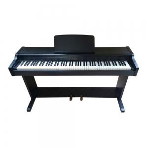 Đàn Piano Điện Technics SXPX 205