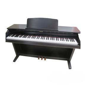 Đàn Piano Điện Technics SXPX 224