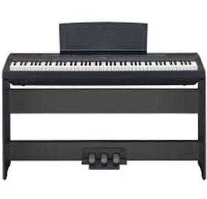 Đàn Piano Điện Yamaha P-115 (Pedal con cóc)