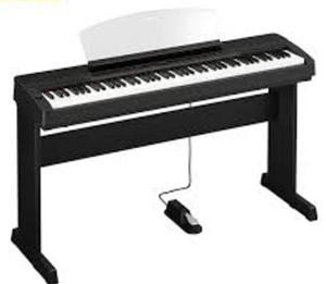 Đàn Piano Điện Yamaha P-155