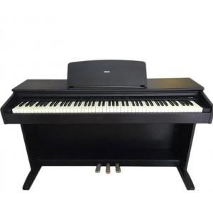 Đàn Piano Điện Yamaha YDP-88II