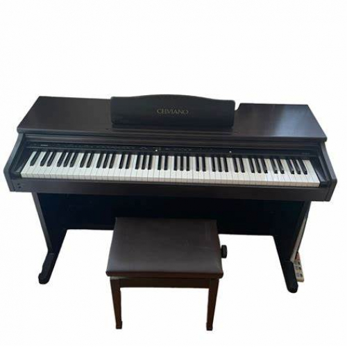 Đàn Piano Điện Casio VJ-201