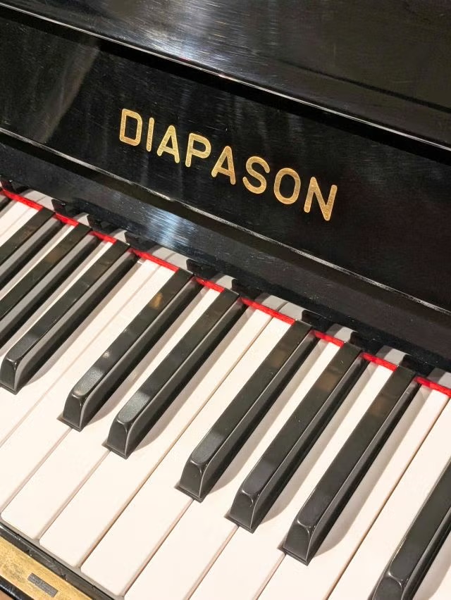 Dòng Đàn Piano Diapason Upright - Chi tiết khung đàn và thùng đàn sang trọng