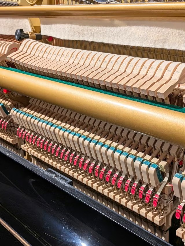 Dòng Đàn Piano Diapason Upright - Bàn phím 88 phím trắng tinh tế