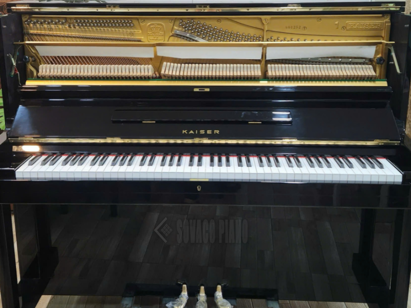Dòng Piano Kaiser - Góc nhìn chi tiết 2