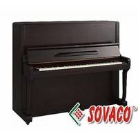 Piano Eastein B