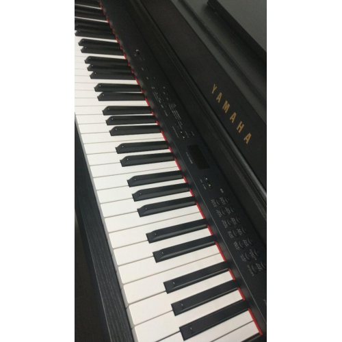 Yamaha SCLP-430B