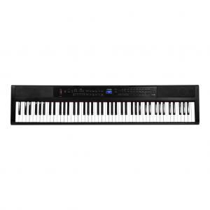 Piano Điện Artesia Pe88