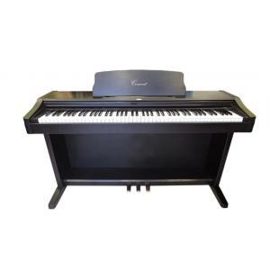 Piano Điện Korg C 303