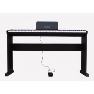 Piano điện Maxwell 100