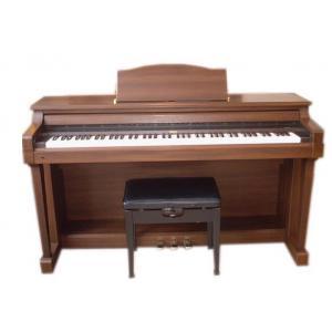 Piano Điện RoLand HP 101 DMH