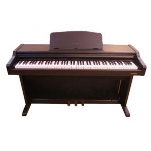 Piano điện Technics PX-73