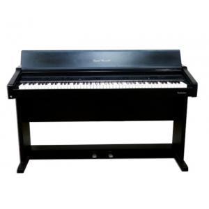 Piano điện Technics SX PR-200