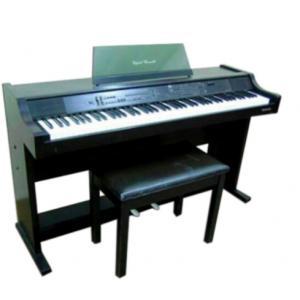 Piano điện Technics SX-PR60