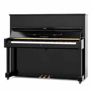 Đàn Piano Eterna