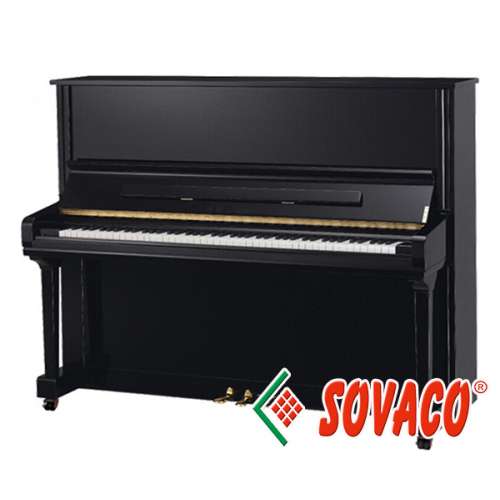 Piano Giá Rẻ Shweizertein