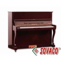 Piano S. Schimel