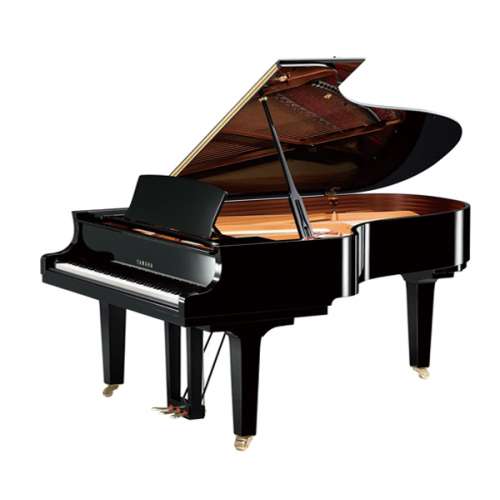 Grand Piano Yamaha C5 Giá Rẻ