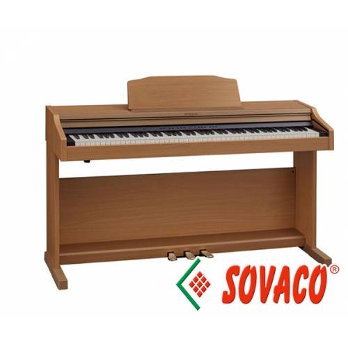 Piano Điện Roland DP970